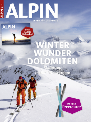 ALPIN 001/2025