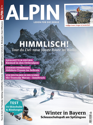 ALPIN 002/2025
