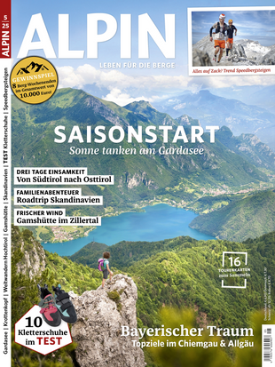 ALPIN 005/2025