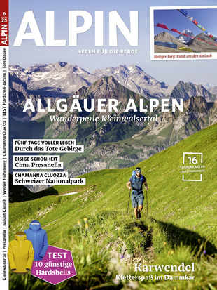 ALPIN 006/2025