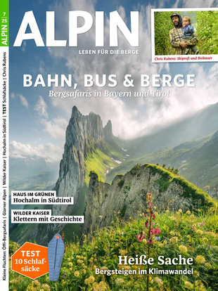 ALPIN 007/2025