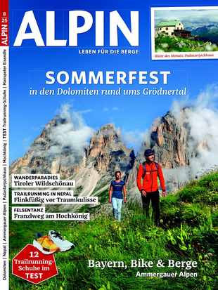 ALPIN 008/2025