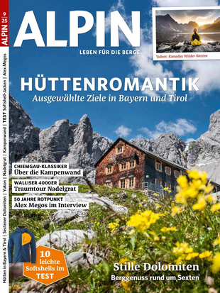 ALPIN 009/2025