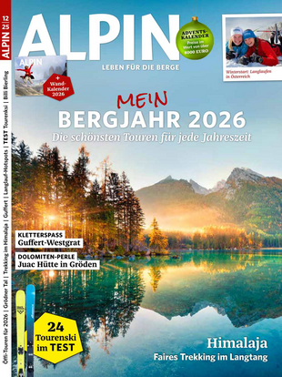 ALPIN 012/2025