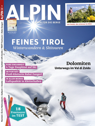 ALPIN 001/2026