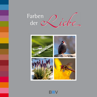 Artikelbild zu Artikel Farben der Liebe