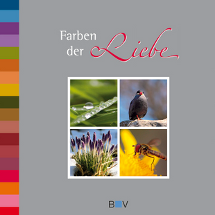 Artikelbild zu Artikel Farben der Liebe