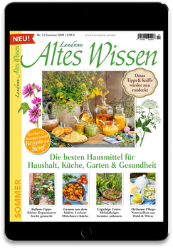 Altes Wissen Digital Cover