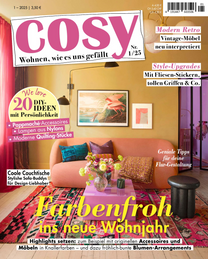 Artikelbild zu Artikel&nbsp;Cosy 0001/2025