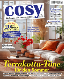 Artikelbild zu Artikel&nbsp;Cosy 0003/2025