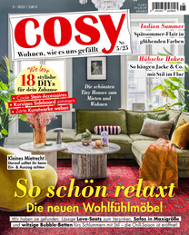 Artikelbild zu Artikel&nbsp;Cosy 0005/2025