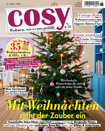 Artikelbild zu Artikel&nbsp;Cosy 0006/2025