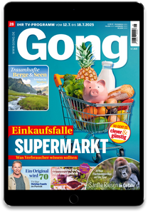 Artikelbild zu Artikel&nbsp;E-Paper Jahresabo + Tablet