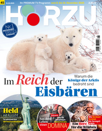 Artikelbild zu Artikel&nbsp;HÖRZU 0045/2025
