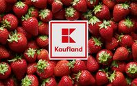 KAUFLAND  Gutschein 40,00