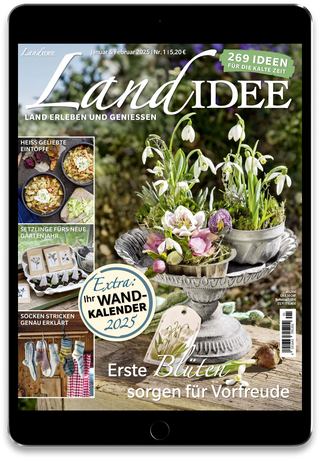 LandIDEE  Cover