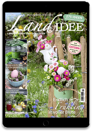 LandIDEE  Cover