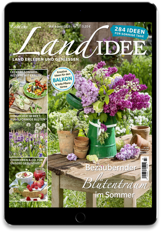LandIDEE  Cover