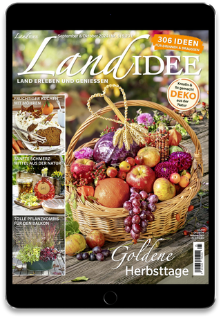 LandIDEE  Cover