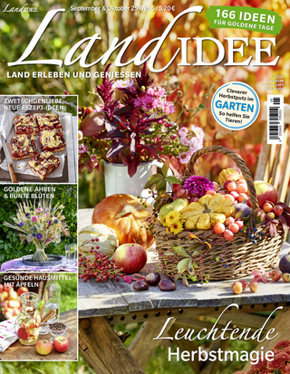 LandIDEE  Cover