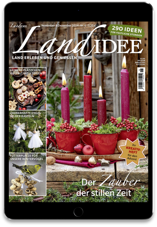 LandIDEE  Cover