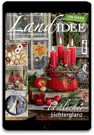 LandIDEE  Cover