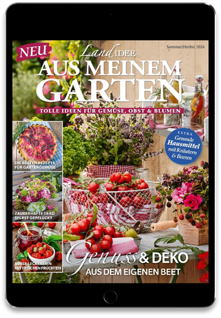LandIDEE  Cover
