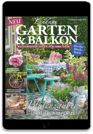 LandIDEE  Cover