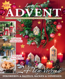 Artikelbild zu Artikel&nbsp;LandIDEE Kompakt Advent 01/25