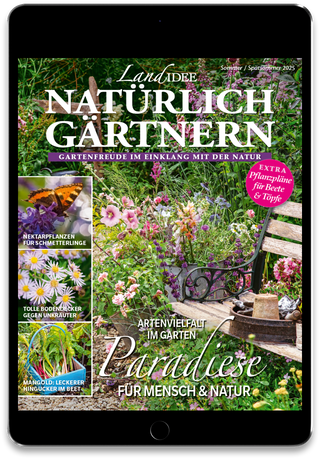 LandIDEE  Cover