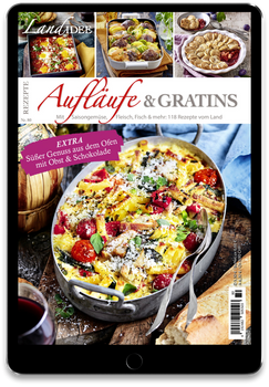 LandIDEE Rezeptreihe Digital Cover