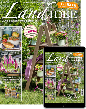 LandIDEE Print Plus Cover
