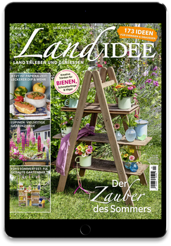LandIDEE Digital Cover