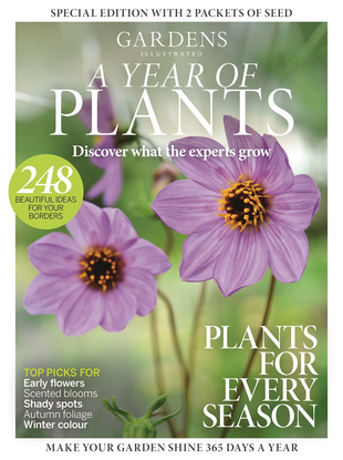 Picture for article A Year of Plants - UK 