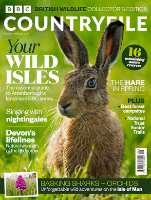 Picture for article BBC Countryfile Magazine April 2023
