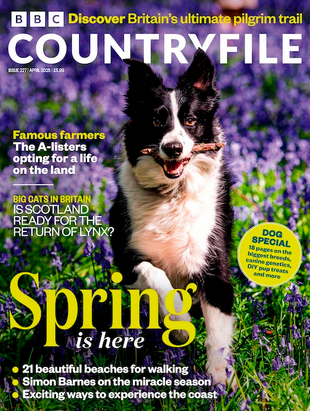 Picture for article BBC Countryfile Magazine April 2025