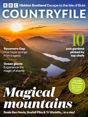 Picture for article BBC Countryfile Magazine August 2025
