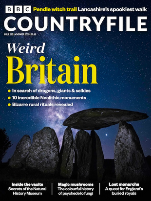 Picture for article BBC Countryfile Magazine November 2025