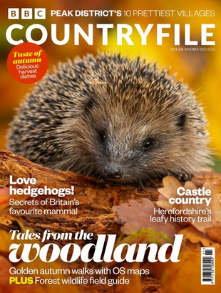 Picture for article BBC Countryfile Magazine October2023
