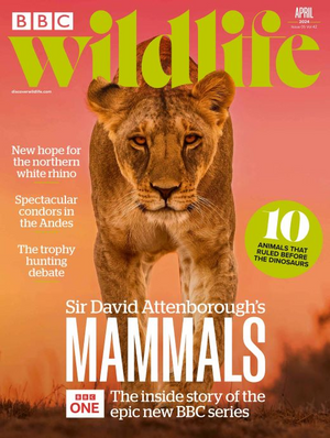 BBC Wildlife Magazine April 2024 - Issue 516