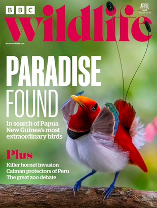 Picture for article BBC Wildlife Magazine April 2025 - Issue 529