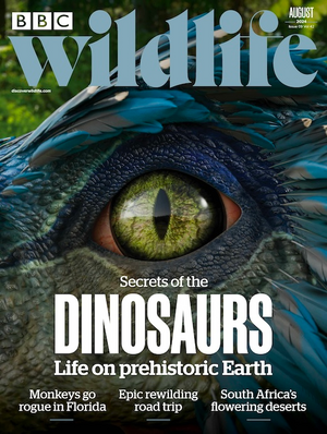 BBC Wildlife Magazine August 2024 -Issue 520