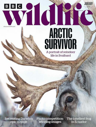 Picture for article BBC Wildlife Magazine January 2024- Issue 512