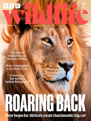 Picture for article BBC Wildlife Magazine July 2025 - Issue 532
