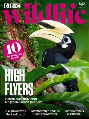 BBC Wildlife Magazine March 2024 -Issue 514