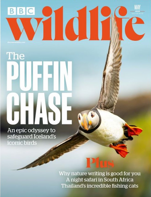 BBC Wildlife Magazine May 2024 - Issue 517