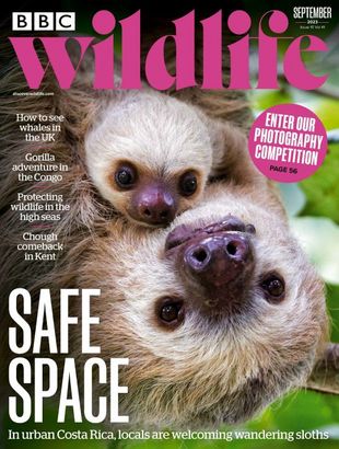Picture for article BBC Wildlife Magazine September 2023 - Issue 508