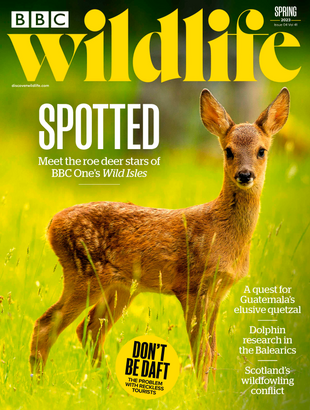 Picture for article BBC Wildlife Magazine Spring 2023 -Issue 502