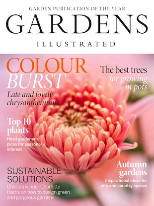 Picture for article Gardens Illustrated Magazine - November 2024