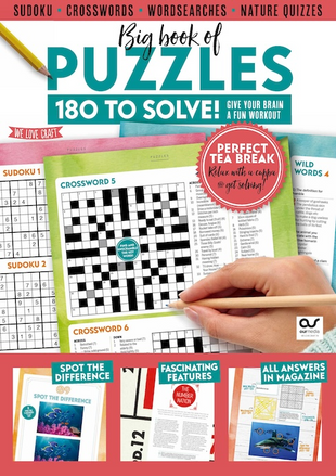 Picture for article The Big book of Puzzles